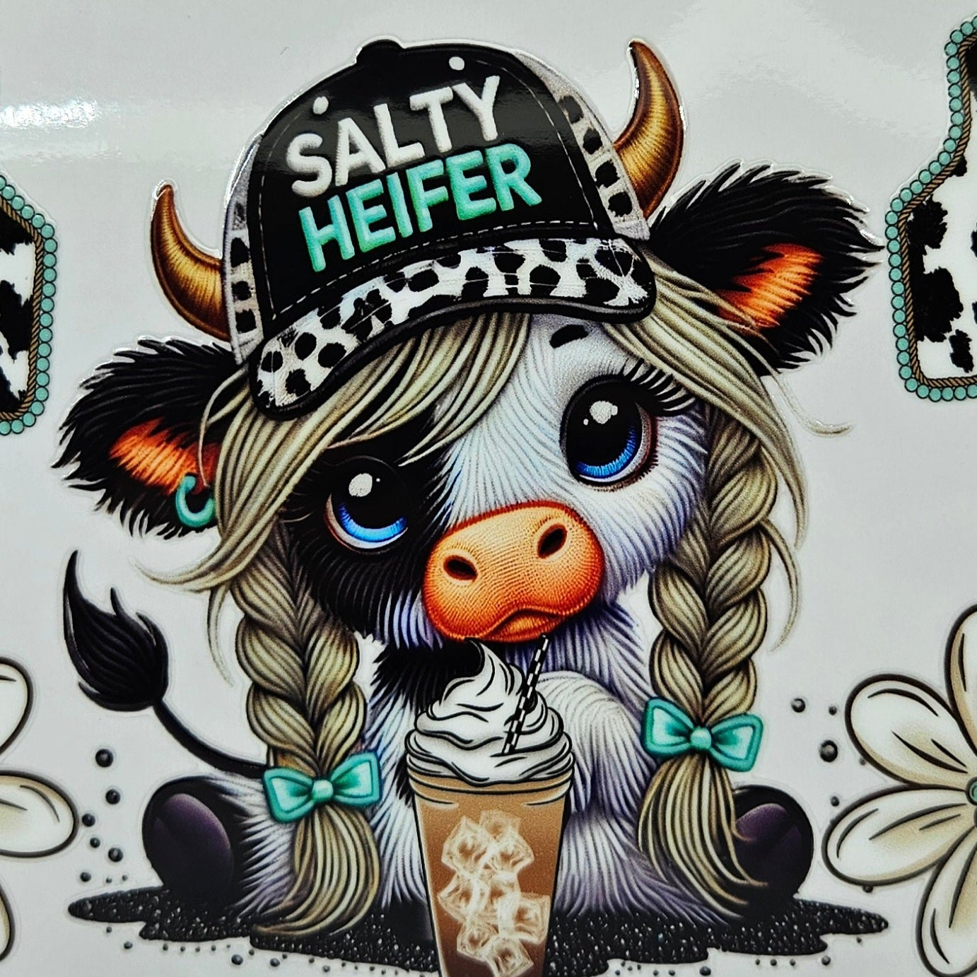 White Highland Calf Salty Heifer