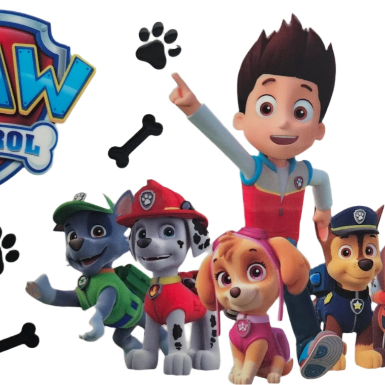 Ryder & Paw Patrol