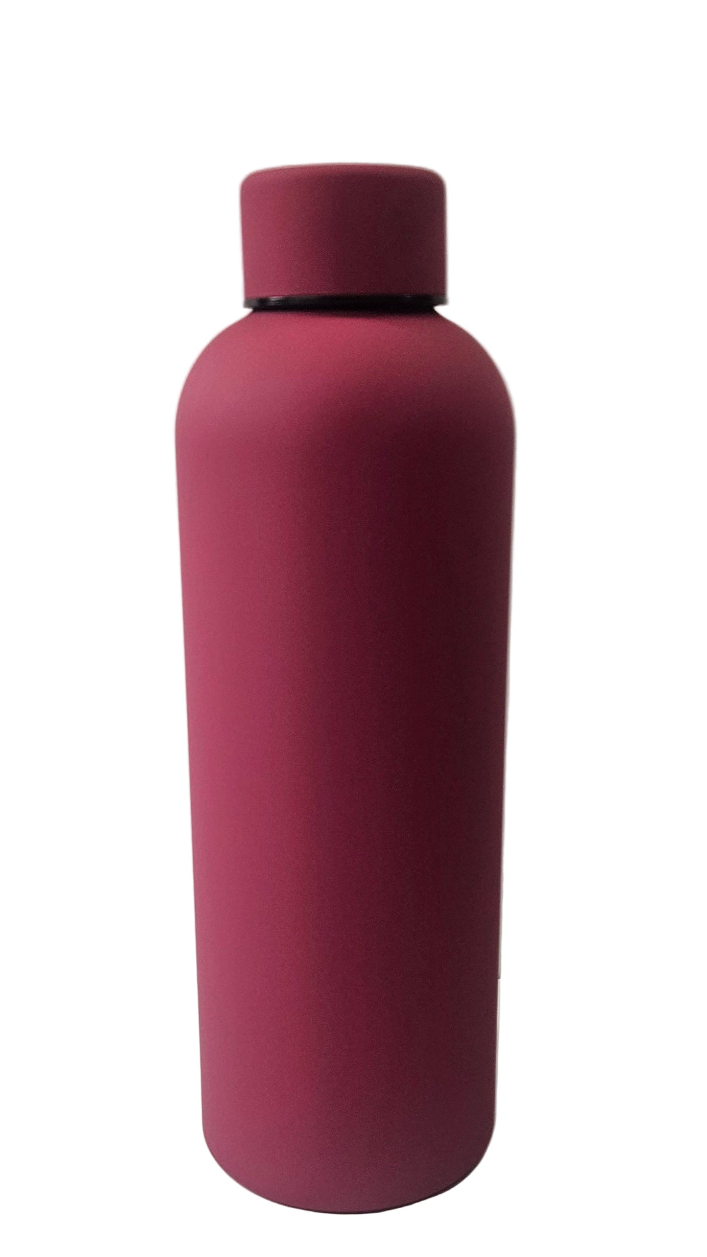16oz SS Insulated Water Bottle