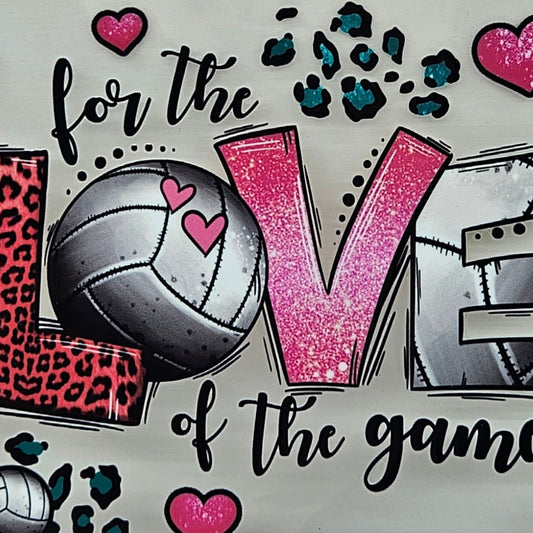 Volleyball For the Love of the Game