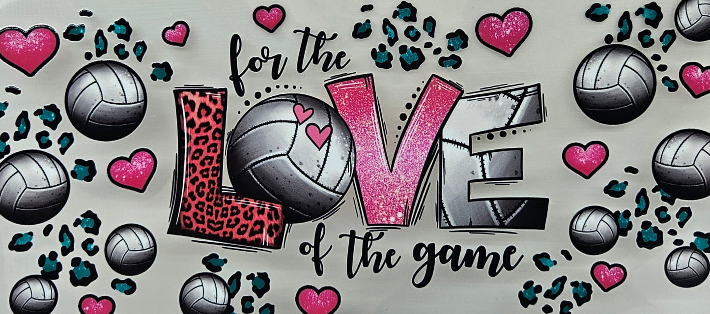 Volleyball For the Love of the Game