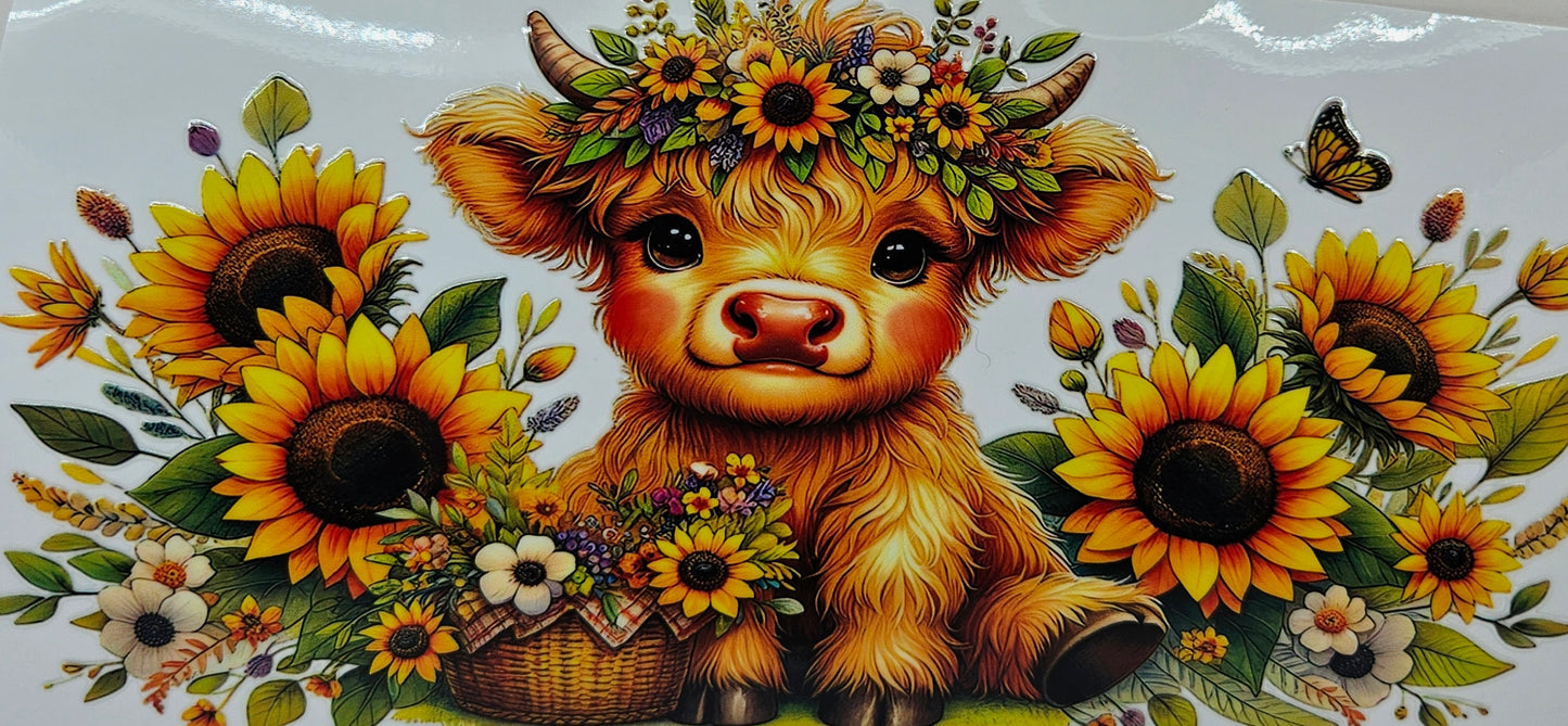 Brown Highland Calf with Butterfly & Sunflowers