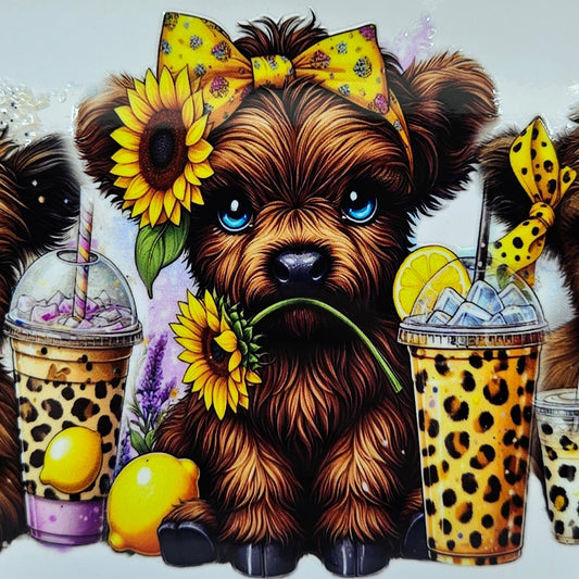 Brown Highland Calf with Sunflowers Bow and Coffee