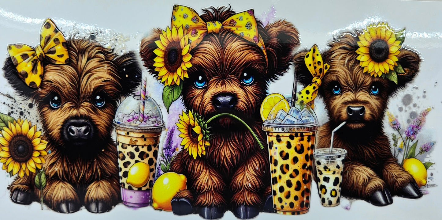 Brown Highland Calf with Sunflowers Bow and Coffee