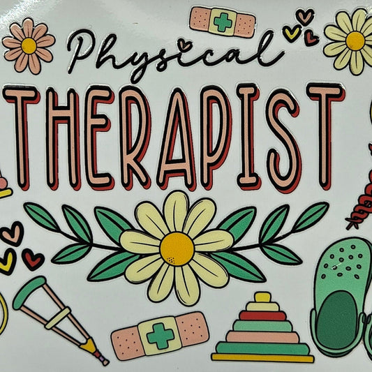 Physical Therapist
