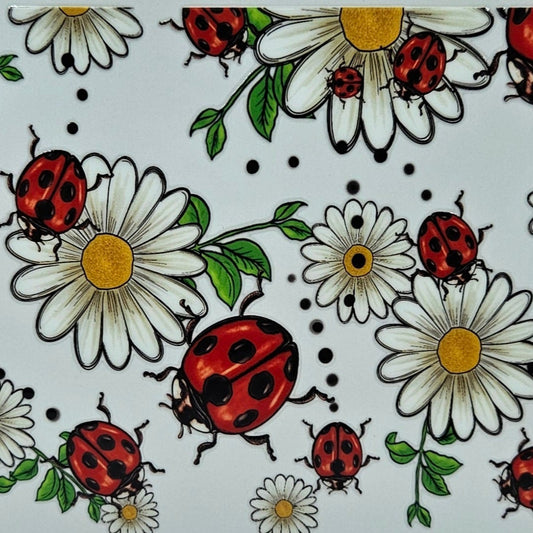 Lady Bug & Flowers