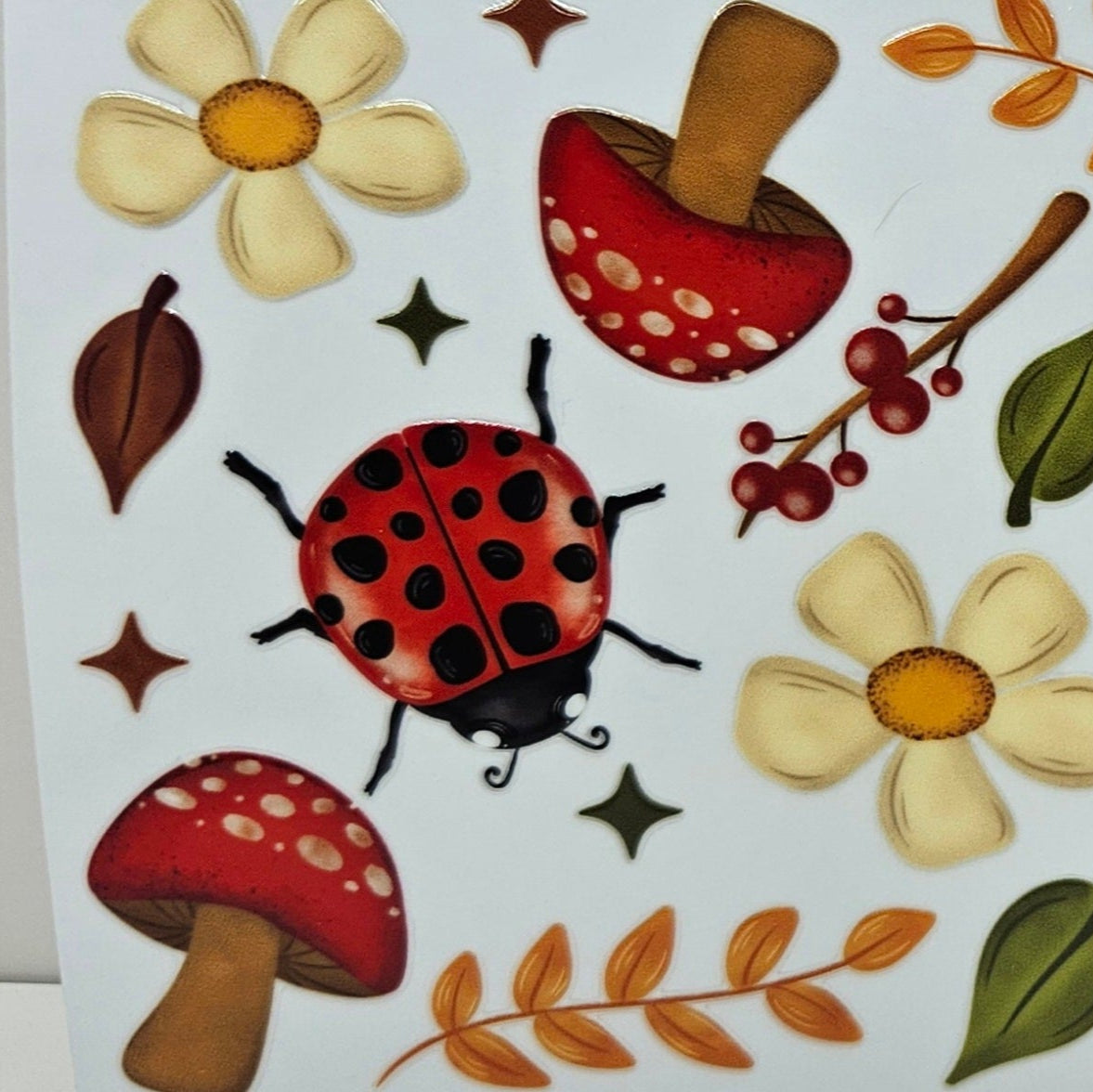 Lady Bug & Mushrooms