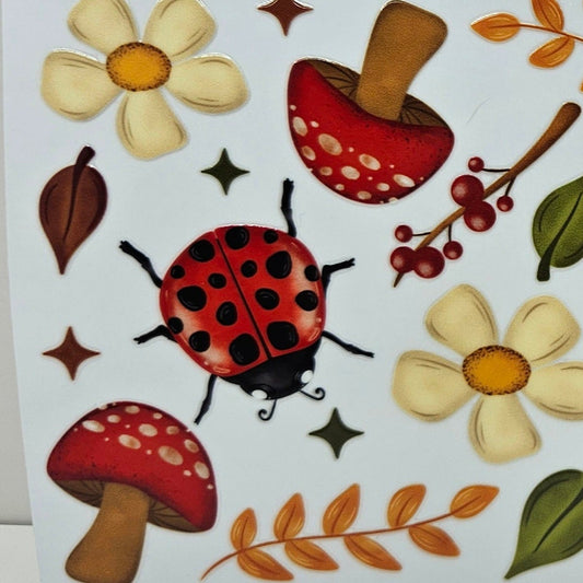 Lady Bug & Mushrooms