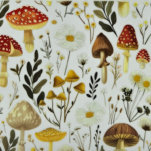 Mushrooms & Wildflowers
