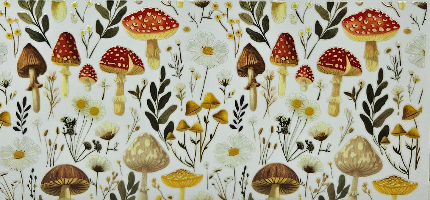 Mushrooms & Wildflowers
