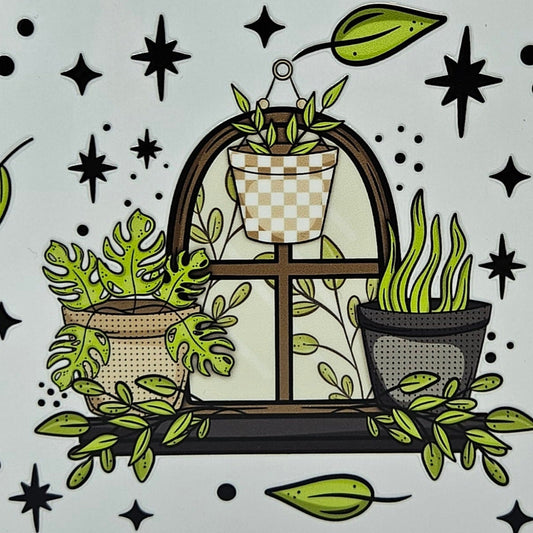 Indoor Plant Life