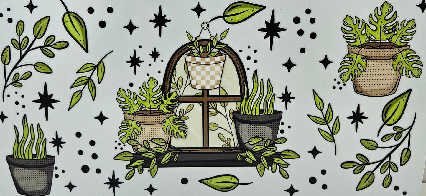 Indoor Plant Life