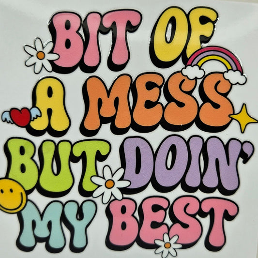 Bit Of a Mess but Doin' My Best