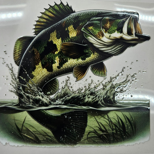 Bass Fish