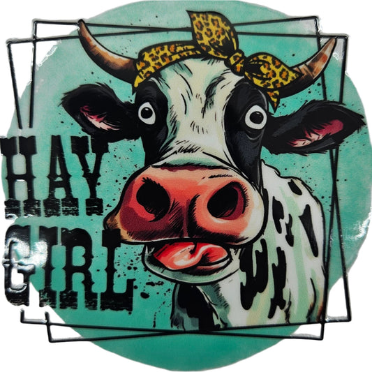 Hay Girl