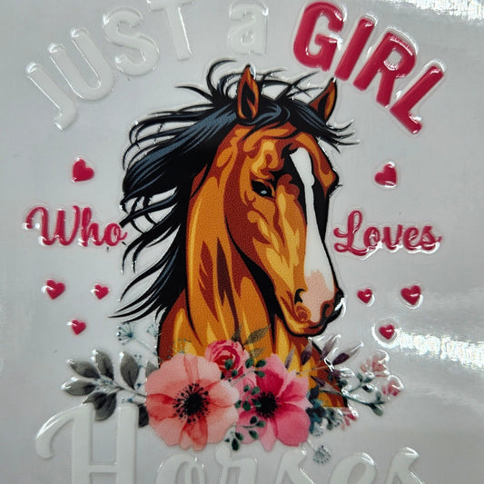 Just a Gril Who Loves Horses