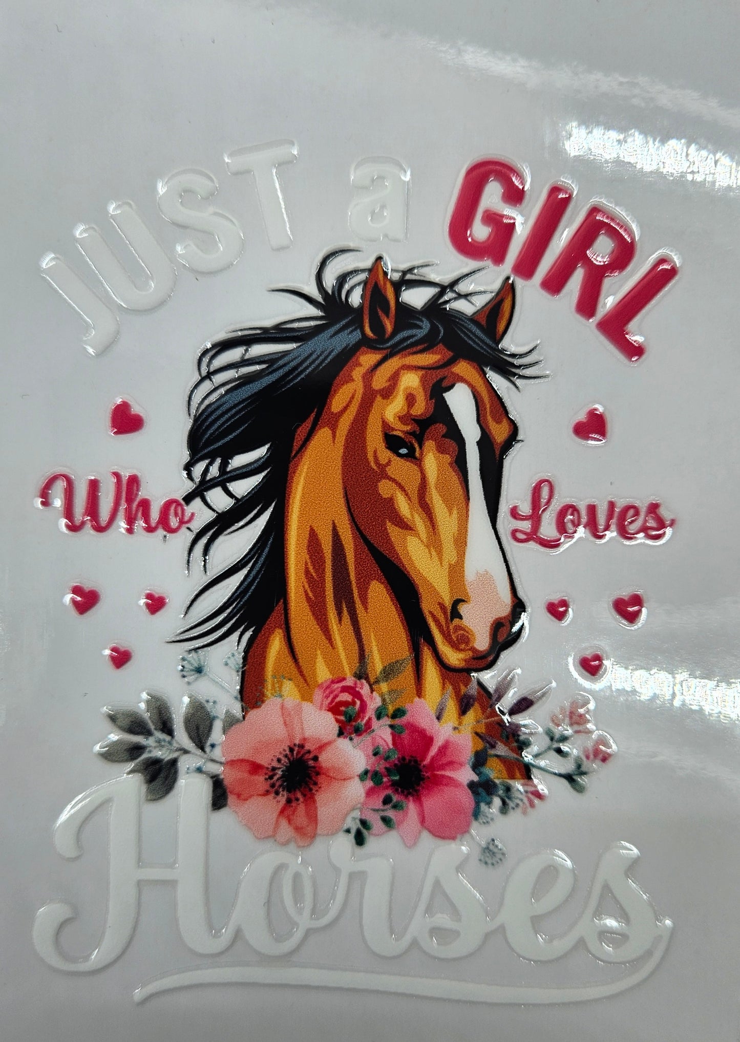 Just a Gril Who Loves Horses