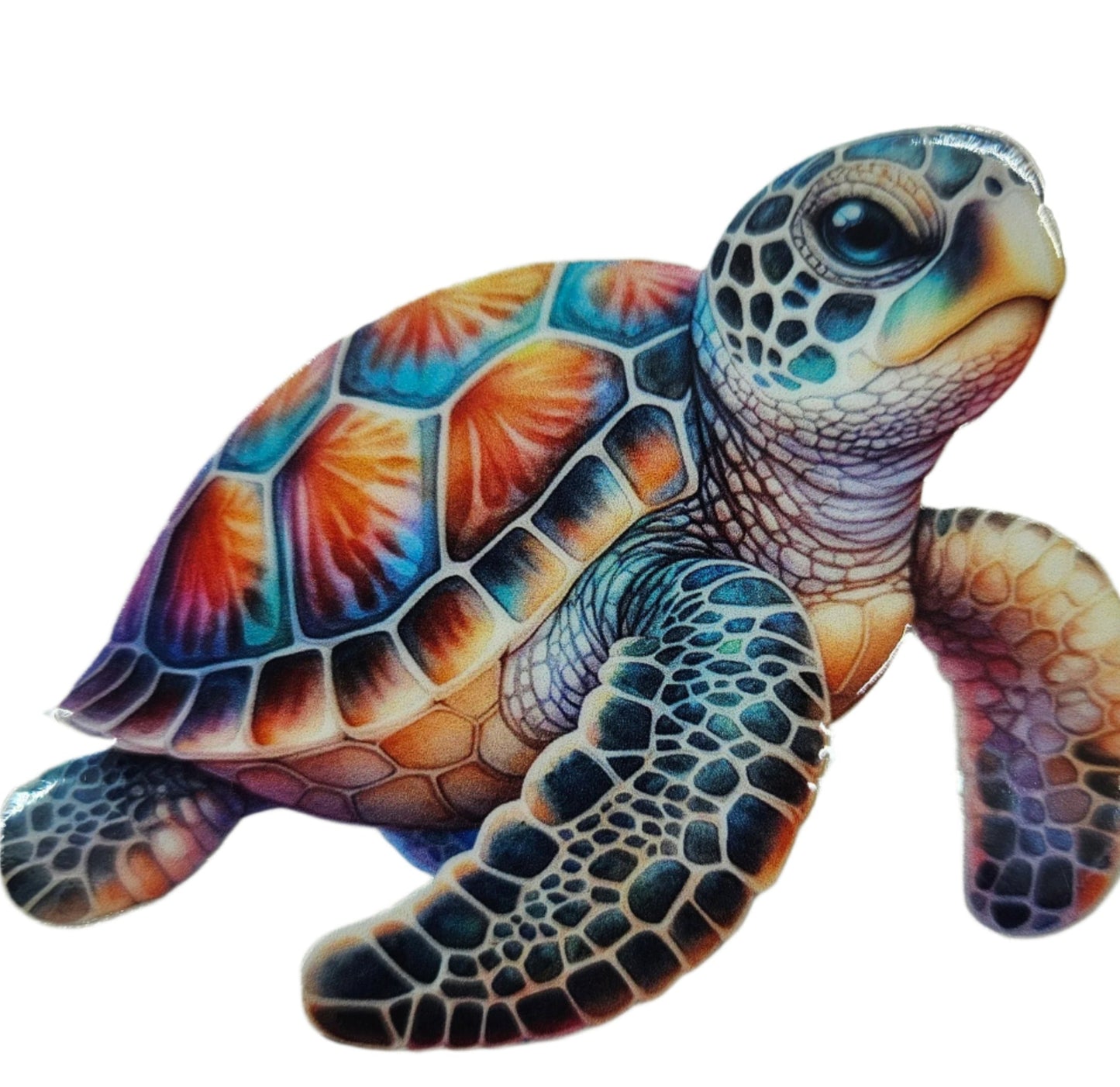Blue Turtle