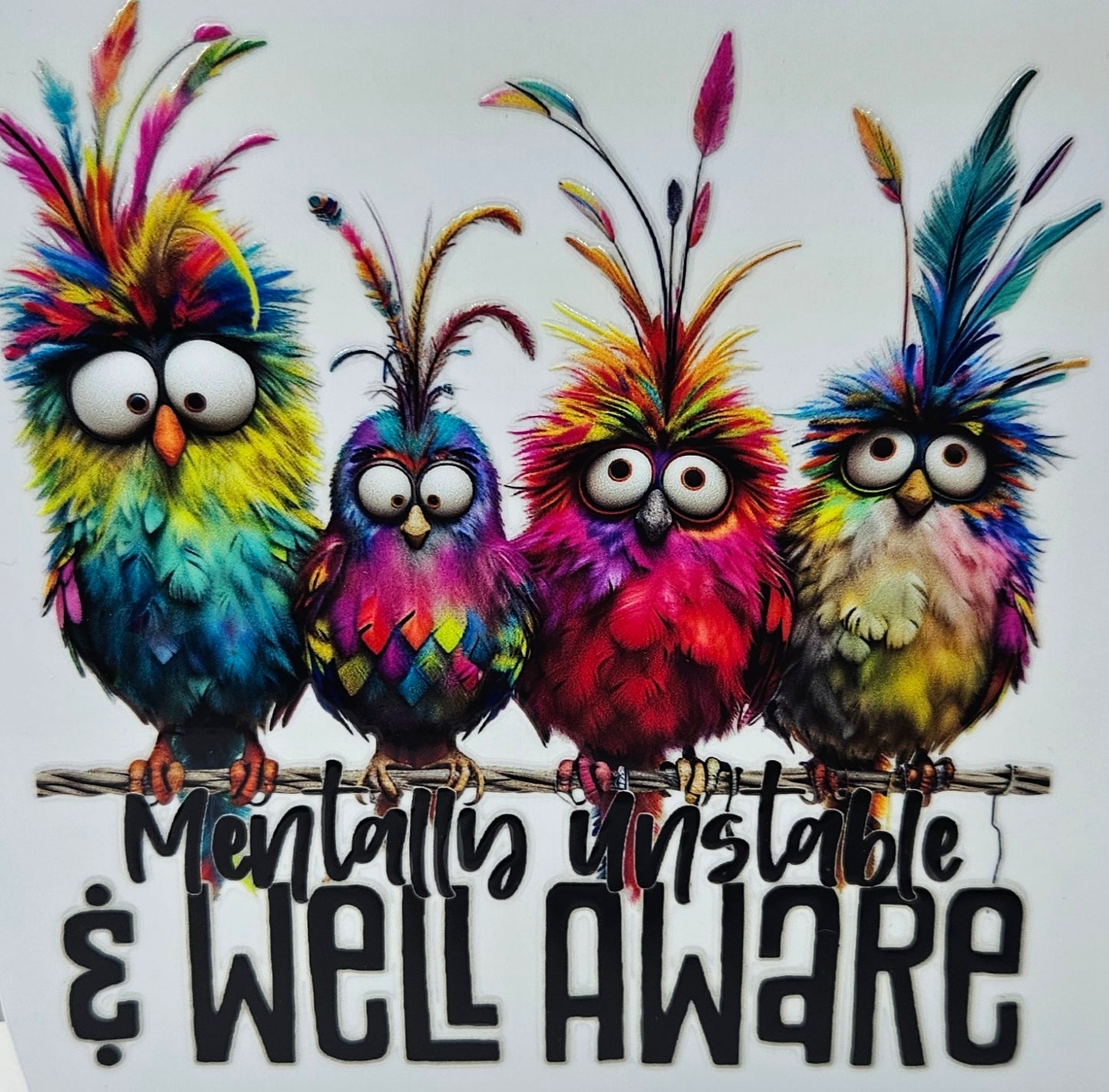 Mentally Unstable & Well Aware