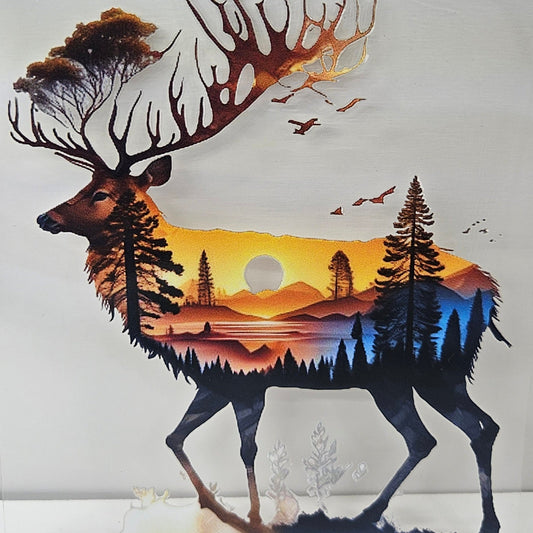 Outdoor Scenery on Elk