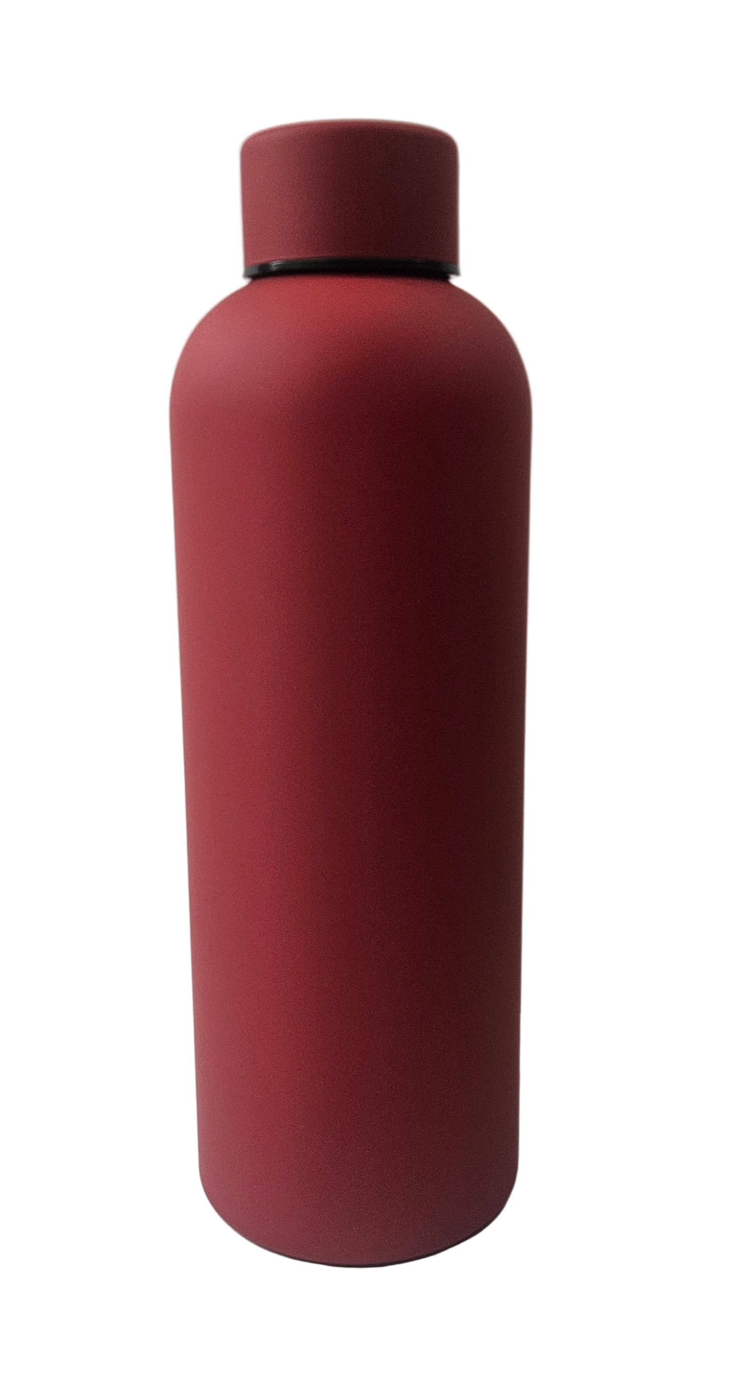 16oz SS Insulated Water Bottle